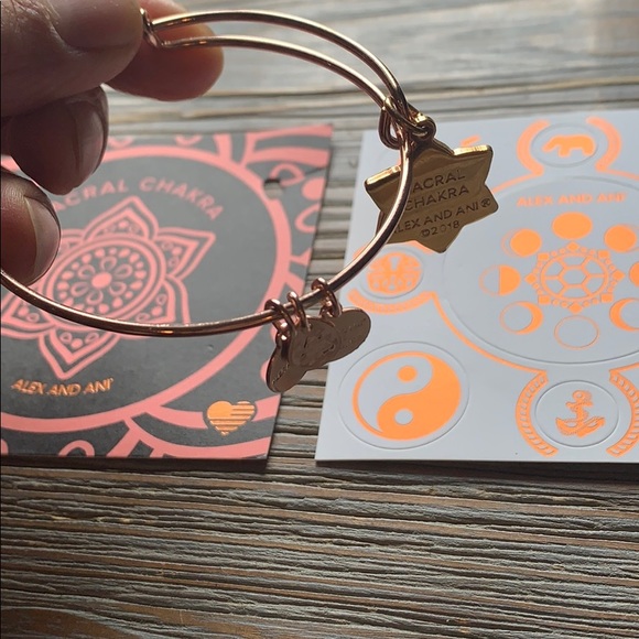 Alex and Ani Bracelet - Picture 4 of 6